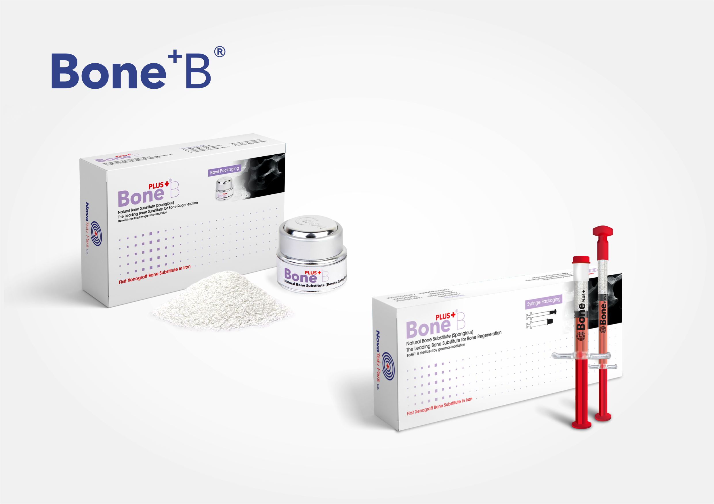 Bone+B V-06-new.jpg